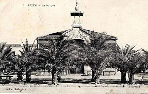 Arzew 177